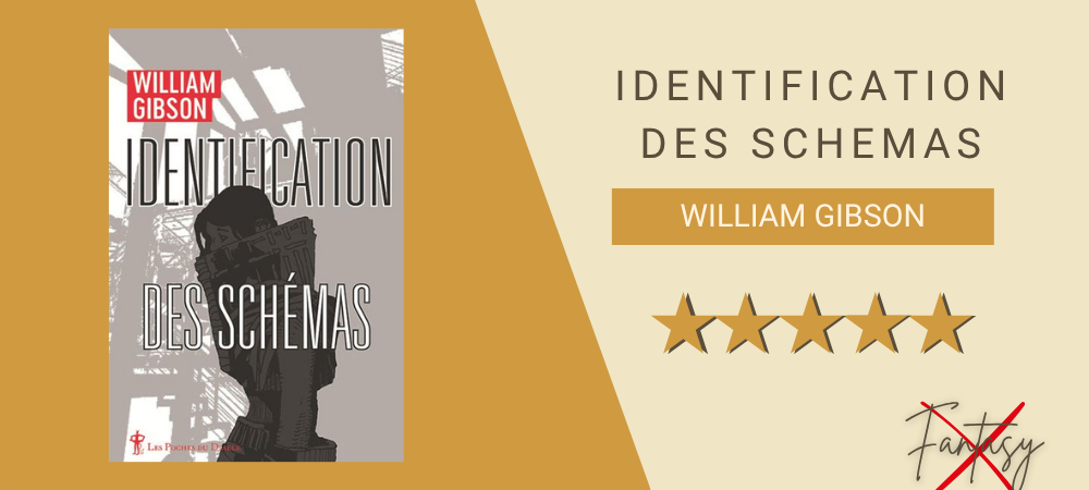 Identification des schemas